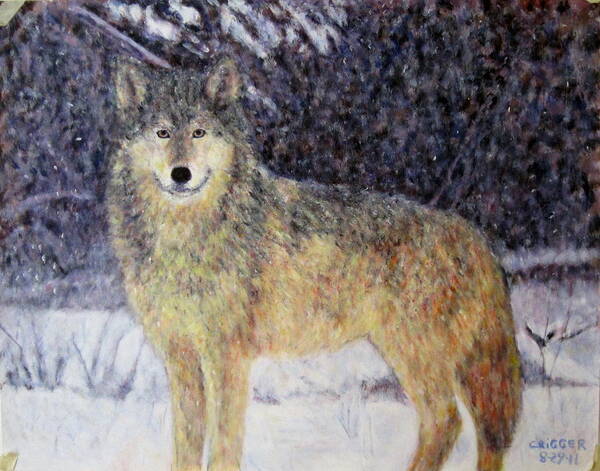 Impressionism Poster featuring the painting Wilderness wolf by Glenda Crigger