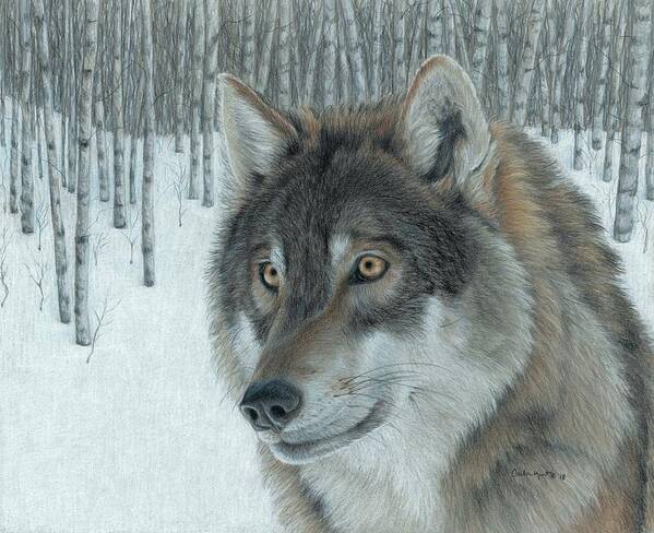 Wolf Poster featuring the drawing Wolf in Aspens by Carla Kurt
