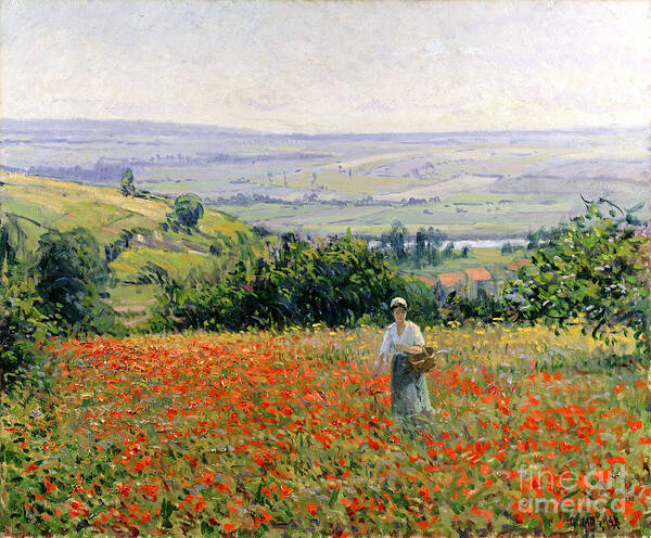 Woman In A Poppy Field (oil On Canvas) By Leon Giran-max (c.1870-1927) Poster featuring the painting Woman in a Poppy Field by Leon Giran Max