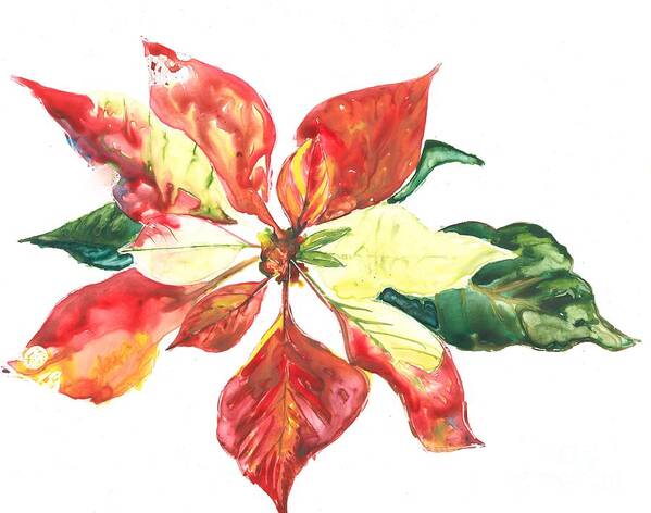 Poinsettia Poster featuring the painting Yupo Poinsettia by Denise Ogier