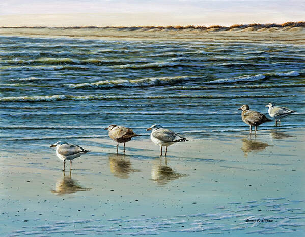 Herring Gulls By The Water Poster featuring the painting Cape May Herring Gulls #1 by Bruce Dumas