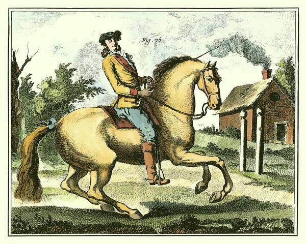 Animals & Nature Poster featuring the painting Equestrian Training I #1 by Denis Diderot