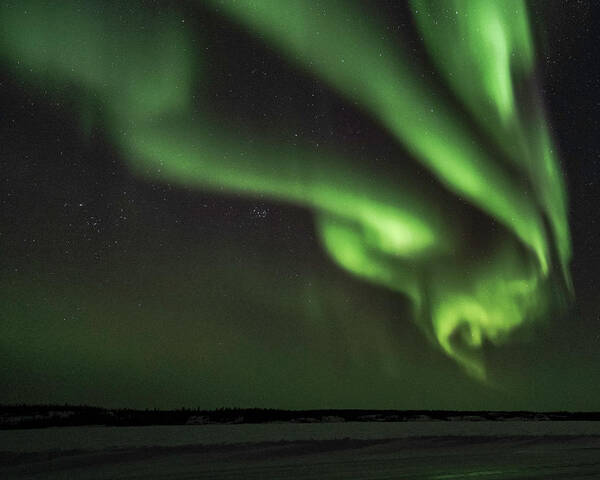 Aurora Borealis Poster featuring the photograph Northern Lights #1 by Laura Hedien