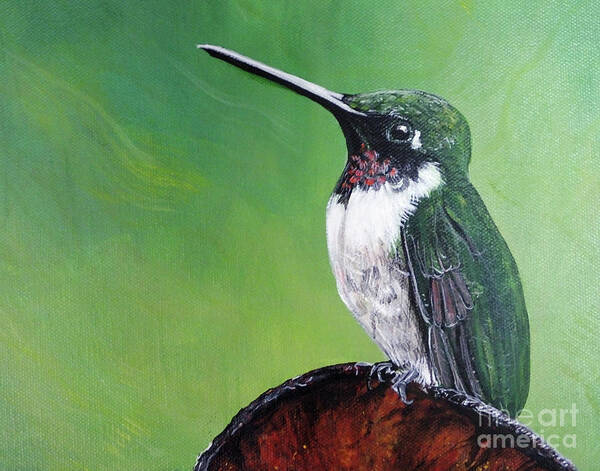 Hand Painted Original Art Poster featuring the painting Ruby Throated Hummingbird #1 by Lizi Beard-Ward
