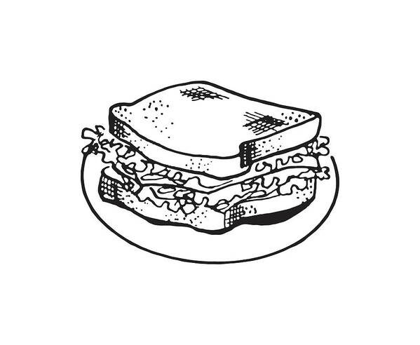 Archive Poster featuring the drawing Sandwich on Plate #1 by CSA Images