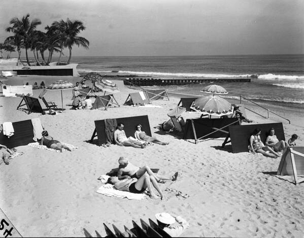 Sunbathing Poster featuring the photograph A View Of Sunbathers Lying On A Beach by Bert Morgan