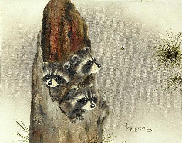 Three Raccoons With Their Heads Popping Out Of A Hollow Tree Stump Poster featuring the painting Ain't Misbehavin'... Yet by Peggy Harris