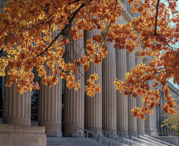 Ann Arbor Poster featuring the photograph Angell Hall - University of Michigan by Greg Croasdill