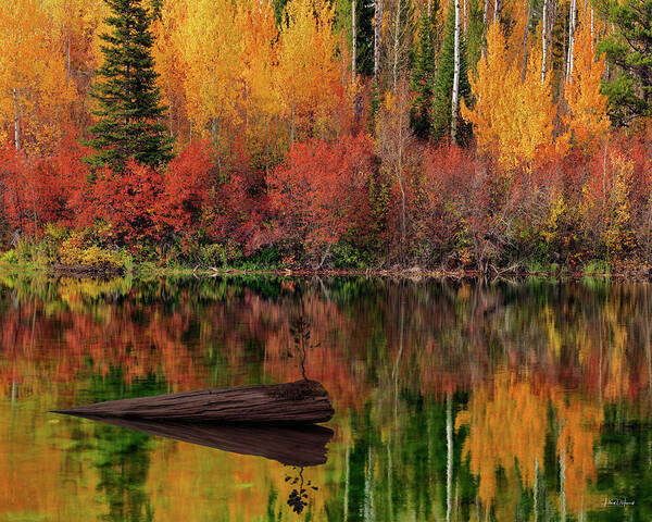 Idaho Scenics Poster featuring the photograph Autumn Reflections by Leland D Howard