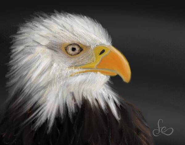 Bald Eagle Poster featuring the pastel Bald Eagle by Fe Jones