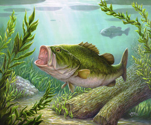 Bass Fish Poster by Amanda Diehl - Pixels