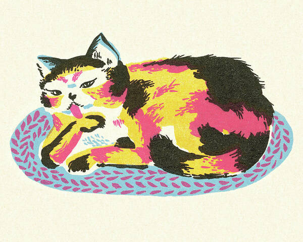 Animal Poster featuring the drawing Cat Lying on a Rug by CSA Images