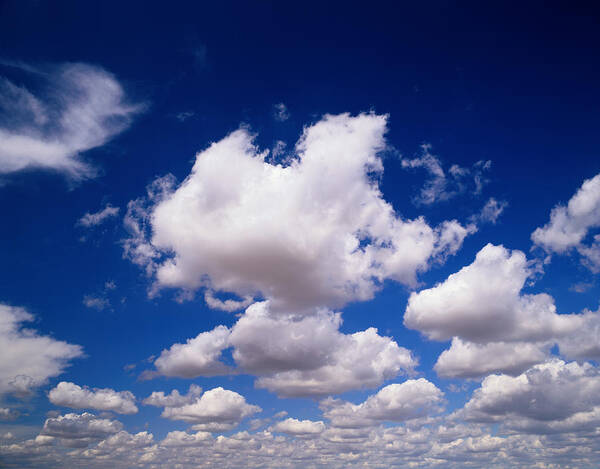 Scenics Poster featuring the photograph Cumulus Clouds by Robert Glusic
