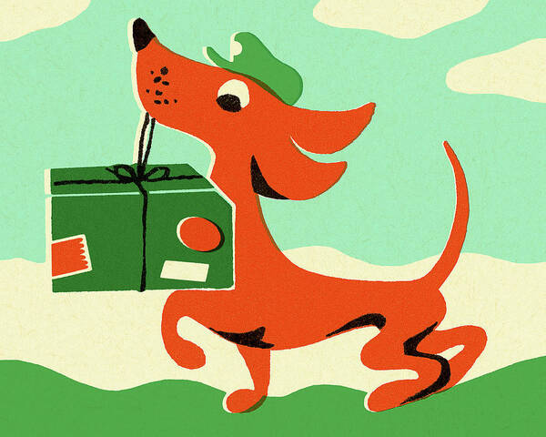 Animal Poster featuring the drawing Dog Carrying a Package by CSA Images