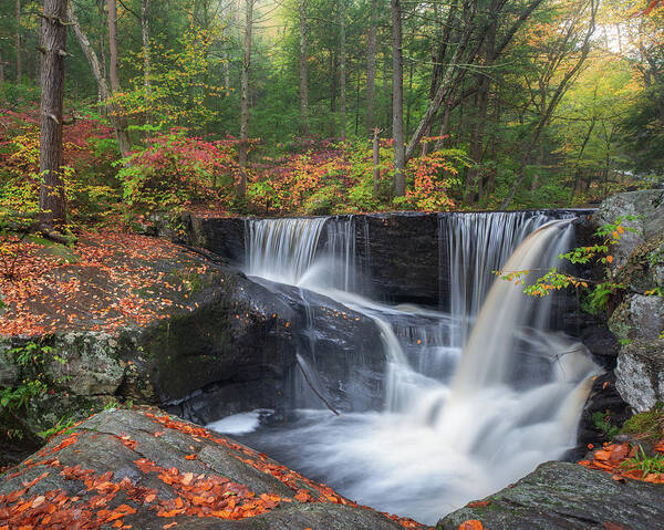 New England Fall Foliage Poster featuring the photograph Enders Falls Autumn 2 by Bill Wakeley