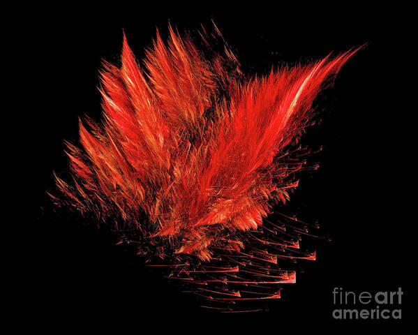 Fractals Poster featuring the photograph Fire Feathers by Elaine Manley
