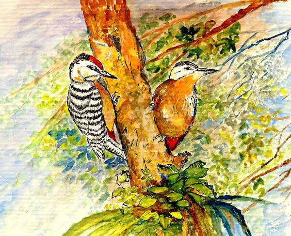 Parasites Poster featuring the painting Fulvous-breasted Woodpecker by Jason Sentuf