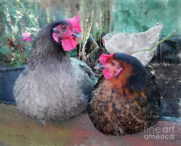 Hens Poster featuring the photograph Gossip Girls by Kim Tran