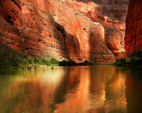 Arizona Poster featuring the photograph Grand Canyon Kayakers by Sarahneal