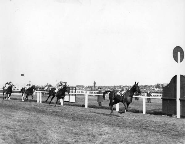 Horse Poster featuring the photograph Grand National Finish by Central Press