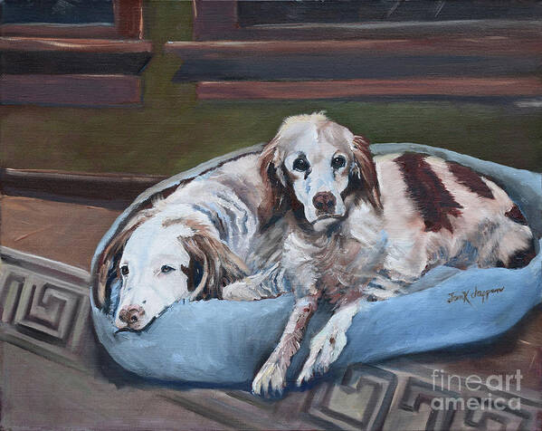 Irish Red And White Setter Poster featuring the painting Irish Red and White Setters - Archer Dogs by Jan Dappen