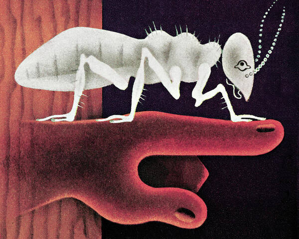 Animal Poster featuring the drawing Large Ant Standing on a Finger by CSA Images