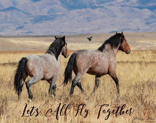 Wild Horses Poster featuring the photograph Let's all fly together by Mary Hone
