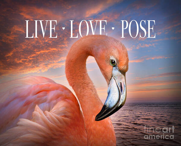 Flamingo Poster featuring the digital art Live Love Pose Flamingo by Evie Cook