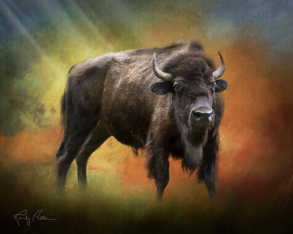 Buffalo Poster featuring the photograph Mighty Bison by Randall Allen