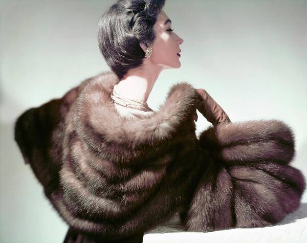 Beauty Poster featuring the photograph Model In Ritter Brothers Sable by Horst P. Horst
