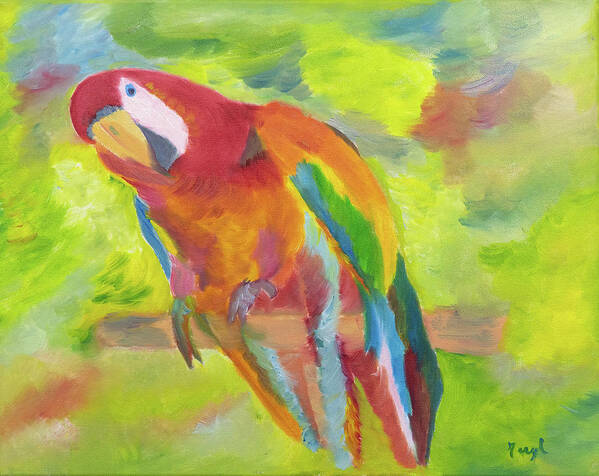 Red Macaw Poster featuring the painting Curiousity by Meryl Goudey