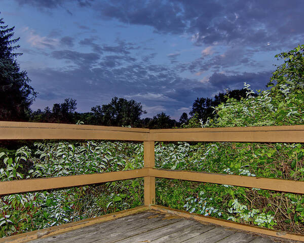 Woods Poster featuring the photograph Overlooking the Woods by Deborah Ritch