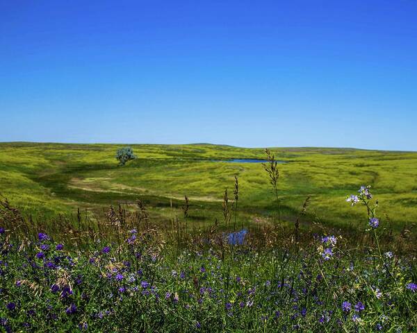  Poster featuring the photograph Pasture Land 3 by Jana Rosenkranz