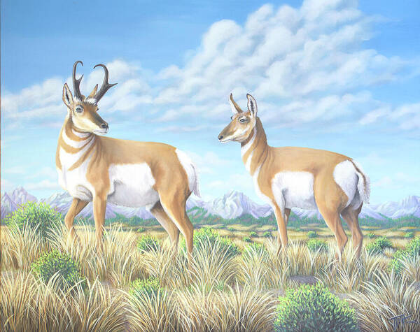 Pronghorn Poster featuring the painting Pronghorn by the Tetons by Tish Wynne
