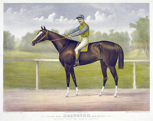 1891 Poster featuring the drawing Race Horse, C1891 by Granger