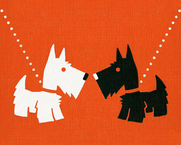 Animal Poster featuring the drawing Scottish Terrier and West Highland Terrier Dogs by CSA Images