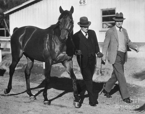 Mature Adult Poster featuring the photograph Smith And Howard Walking Seabiscuit by Bettmann