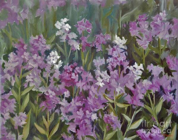 Phlox Poster featuring the painting Summer Purple by K M Pawelec