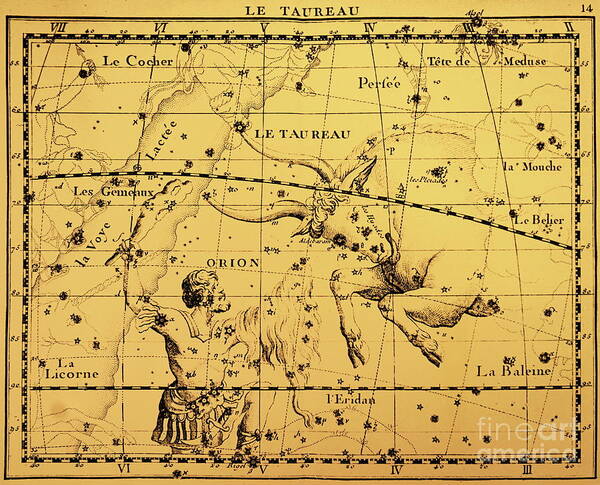Constellation Poster featuring the painting The Constellations Orion And Taurus by European School