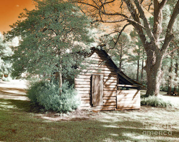 Infrared Poster featuring the photograph The Tool Shed by Stephanie Petter Garrett