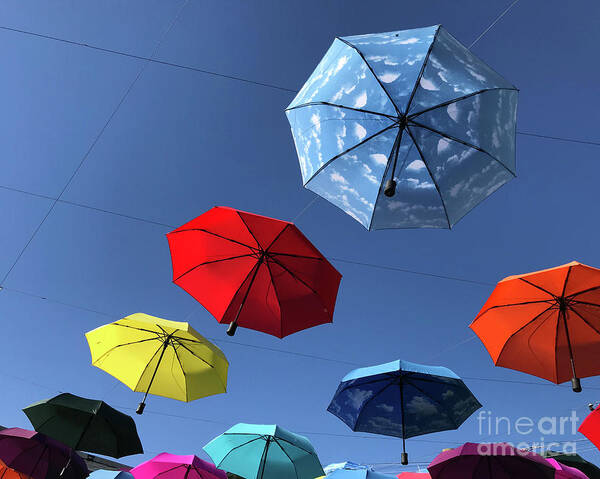 Umbrellas Poster featuring the photograph Umbrella Series 1 by Chris Dutton