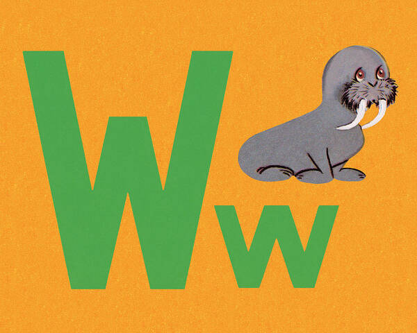 Alphabet Poster featuring the drawing W as in Walrus by CSA Images