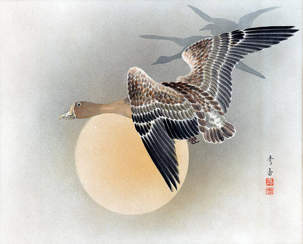 Shuko Poster featuring the painting Wild Geese by Shuko