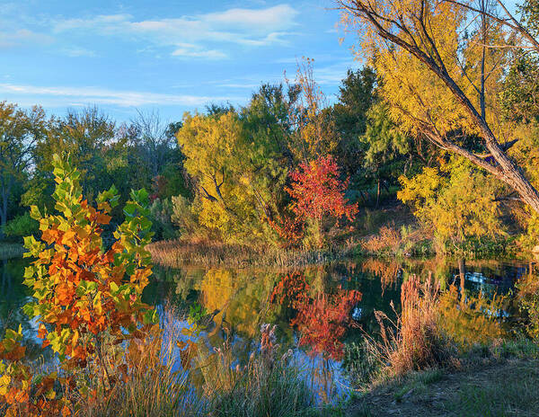 00544900 Poster featuring the photograph Willows And Maples Along Inks Lake, Inks Lake State Park, Texas by Tim Fitzharris