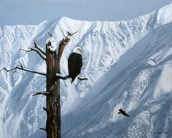 A Bald Eagle Perched On A Dead Tree Poster featuring the painting Winter Perch by Ron Parker