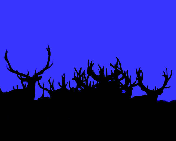 Elk Poster featuring the photograph Antlers At Dawn #2 by Gary Beeler