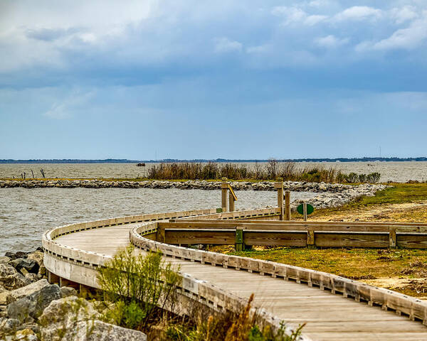 Nature Poster featuring the photograph Boardwalk #1 by Rick Nelson