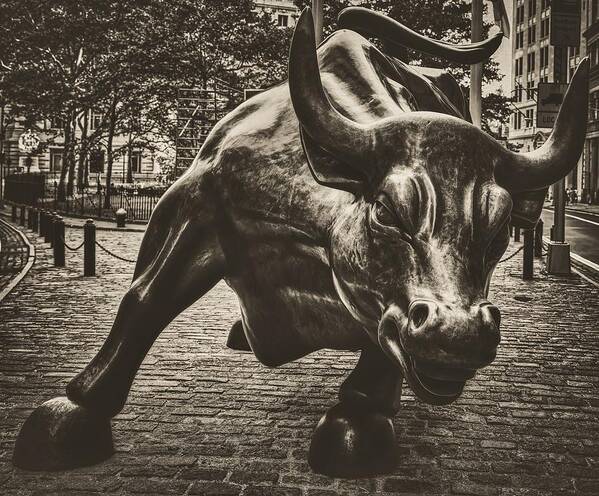 Bull Poster featuring the photograph The Wall Street Bull #1 by Mountain Dreams