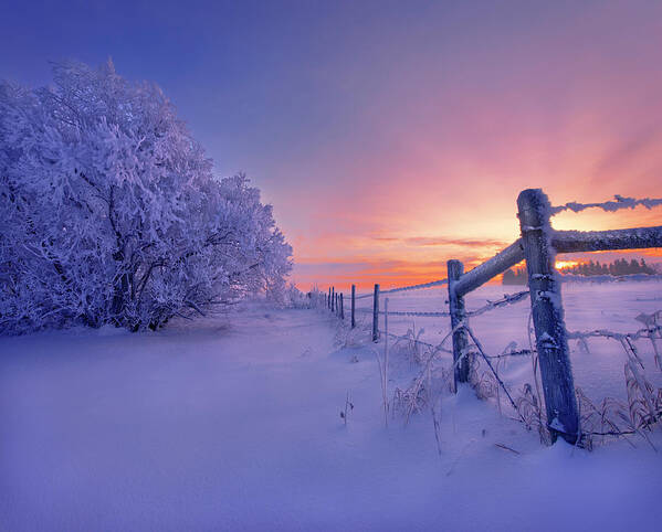 Landscape Poster featuring the photograph Winter Magic #1 by Dan Jurak