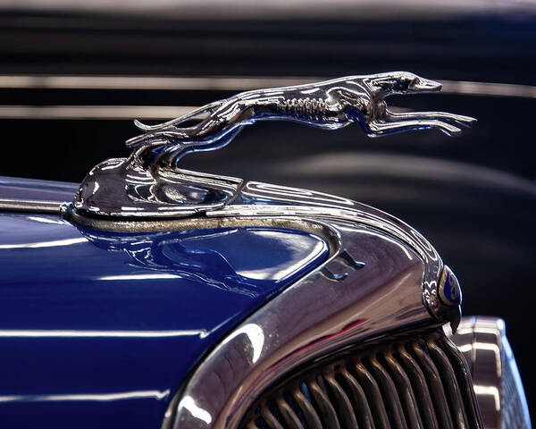 1934 Ford Poster featuring the photograph 1934 Ford Greyhound Hood Ornament by Flees Photos